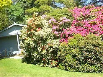 High Grassings Bed & Breakfast
